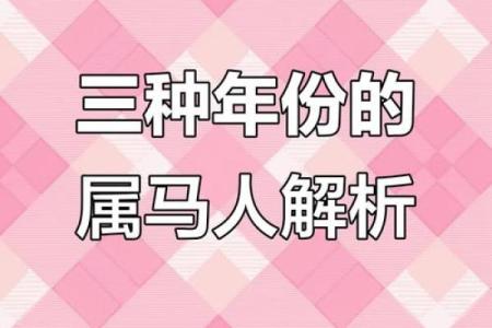 揭秘属马人的命运走向