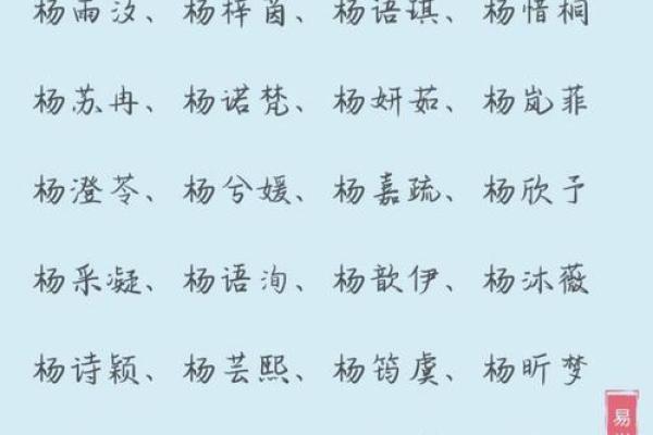 杨姓家族取名秘籍：让名字与命运相伴