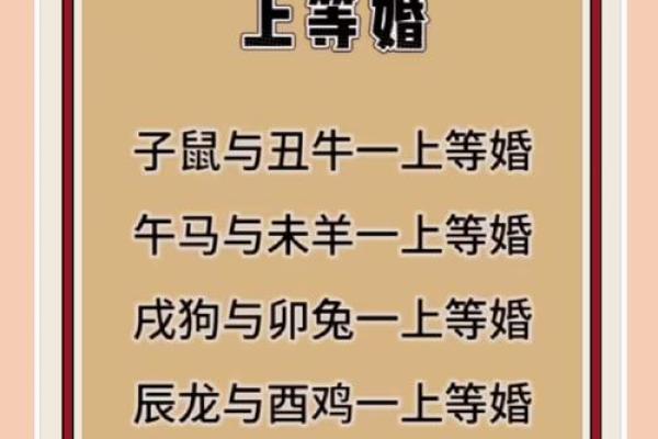 属相配对是否准确？揭秘生肖婚配的真实情况