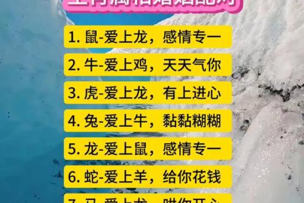 属相配对是否准确？揭秘生肖婚配的真实情况