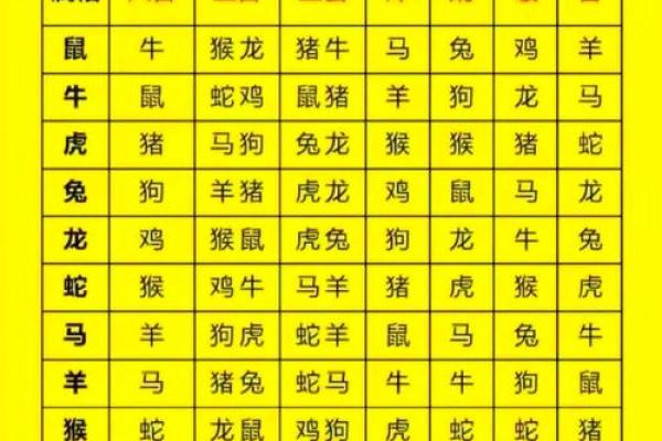 适合属猪的最佳生肖配对解析