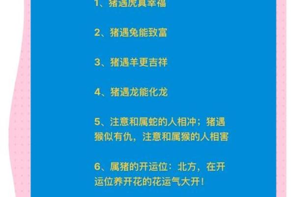 适合属猪的最佳生肖配对解析
