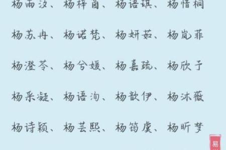 杨姓家族取名秘籍：让名字与命运相伴