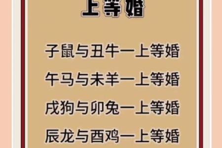 属相配对是否准确？揭秘生肖婚配的真实情况