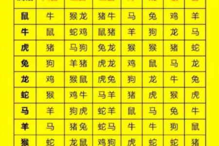 适合属猪的最佳生肖配对解析