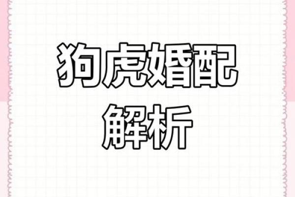 深入解析男狗女狗婚姻关系的相配度