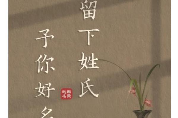 为沈姓宝宝选择一个与众不同的名字