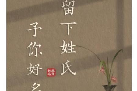 为沈姓宝宝选择一个与众不同的名字