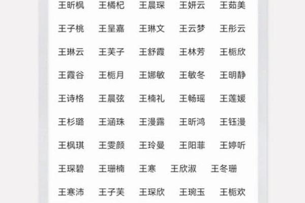 王姓女孩名字的文化与创意探索