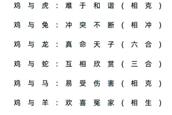女兔男猪婚姻相配吗？探索十二生肖配对的幸福与挑战