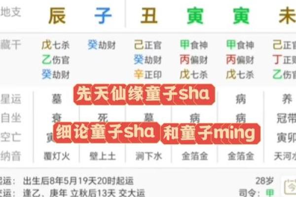 揭秘真假童子命的深层含义与辨别方法