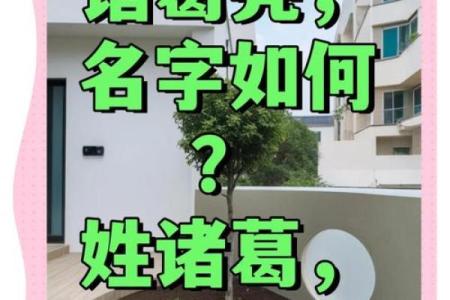 诸葛亮生辰八字揭秘：为何他能一生智谋无敌？