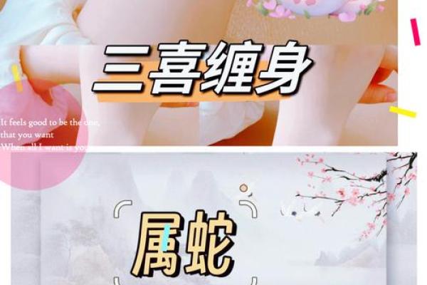 本命年蛇男如何把握人生的机遇