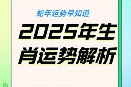 本命年蛇男如何把握人生的机遇