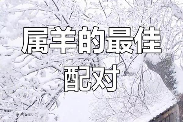 蛇与羊的最佳配对：五行相生的完美组合