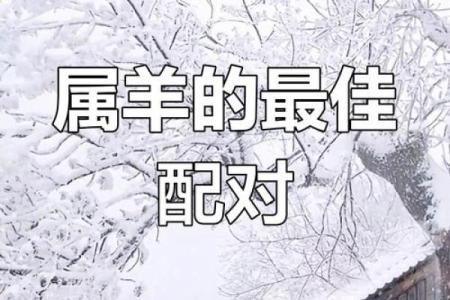 蛇与羊的最佳配对：五行相生的完美组合