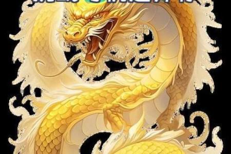 蛇龙婚姻关系：挑战与机遇并存