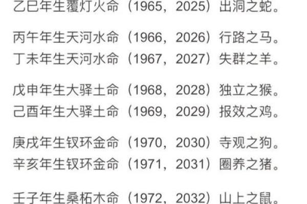 只需一个生辰八字，你的命运全都在这里