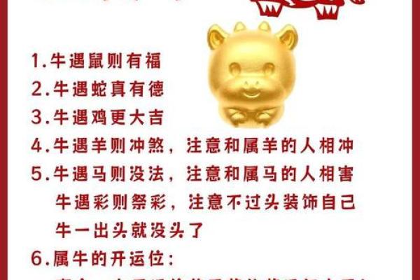 属鼠人本命年如何增强自信心