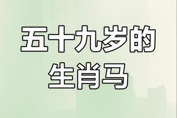 属马人的名字与性格特点解析 属马人的名字与性格特点解析
