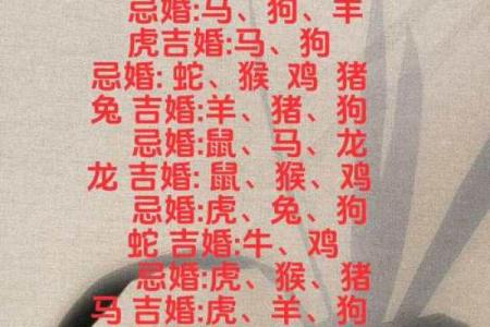 属马女和属兔男的婚姻是否美满