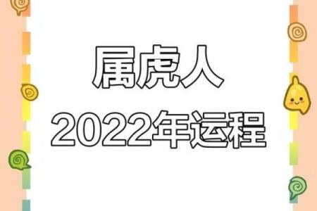 属虎人本命年感情运势大揭秘