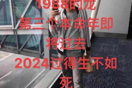 本命年龙男如何规划未来的人生道路