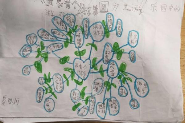 院子里的故事：探索独特名字背后的秘密