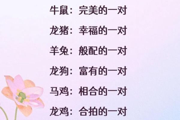 兔年婚配属相指南