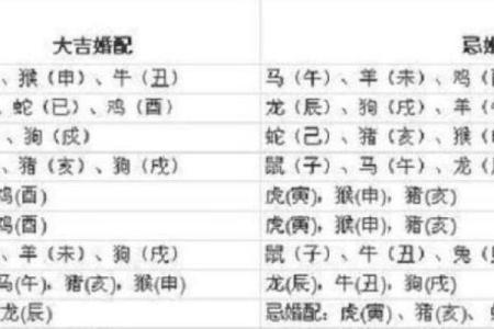 探讨男属羊女属牛的爱情与婚姻契合度