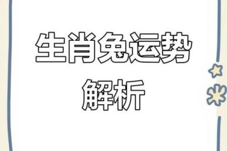 兔马相配带来的好运与象征意义