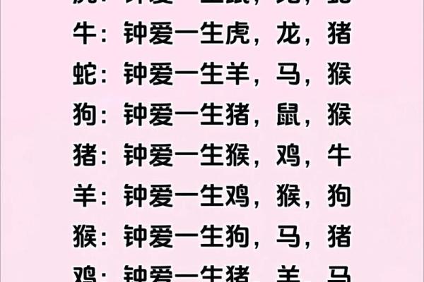 揭开命主与生肖之间的神秘联系