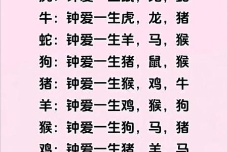揭开命主与生肖之间的神秘联系
