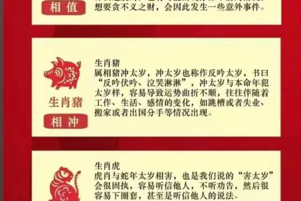 本命年猪女如何提高自身综合运势