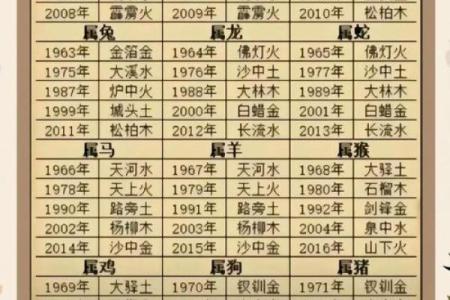属蛇人的生辰八字解析：揭秘命运的秘密与人生运势变化