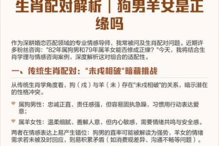 属马女与属羊男的婚姻适配性如何