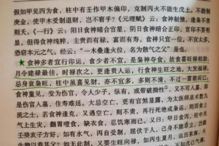 揭秘西氏命：一种独特的命理学视角