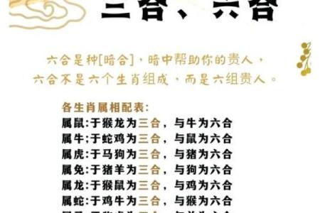 从生肖角度分析鼠和马的配对情况