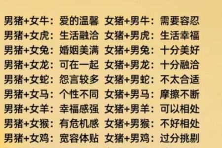 从生肖角度分析男猪女龙的婚配优势