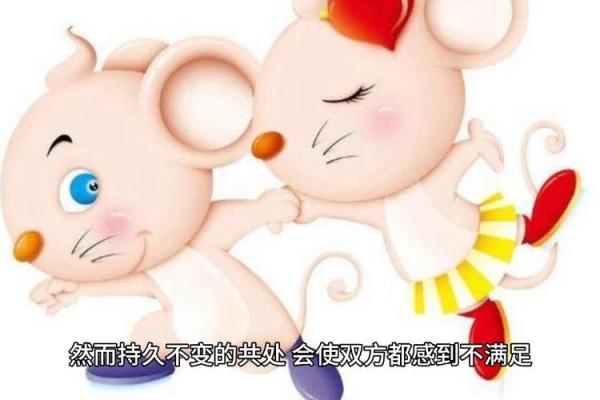 男属兔与女属鼠的婚姻配对分析