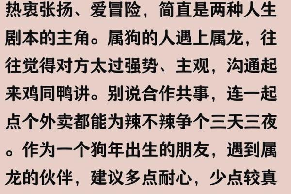 属狗与属鸡的性格差异与婚姻和谐度探讨