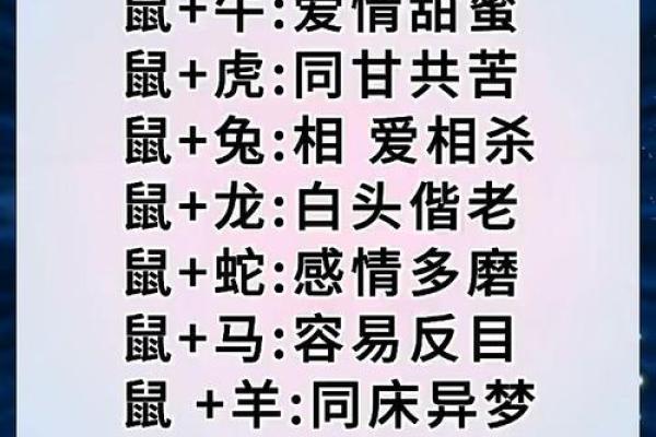 属鼠人本命年婚姻运势如何