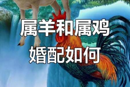属虎女和属羊男的性格差异及其在感情中的影响