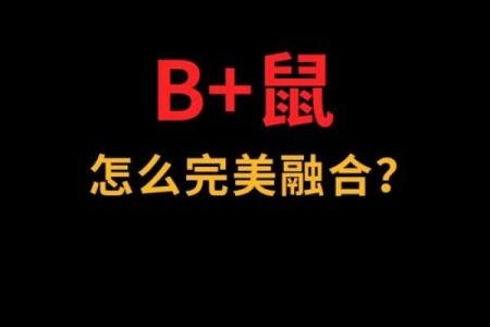 鼠年婚姻配对分析：鼠与鼠是否完美契合