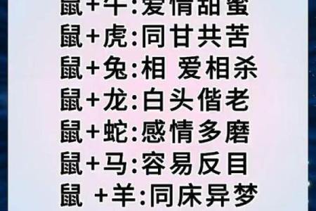 属鼠人本命年婚姻运势如何