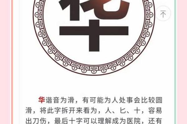 雨字名字的独特寓意与命名技巧