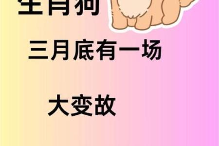 本命年狗女如何创造更多财富机会
