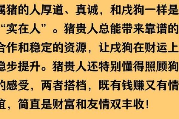 属狗人财运解析：如何抓住财富机会