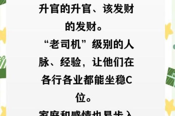属龙和的人生运程与挑战