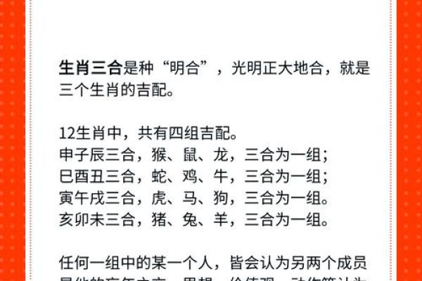 鸡马搭配是否合适的深度解析